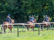 EL130924-26 - Emma Lavelle Stable Visit